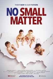 The poster for No Small Matter, the movie shown at the meeting.