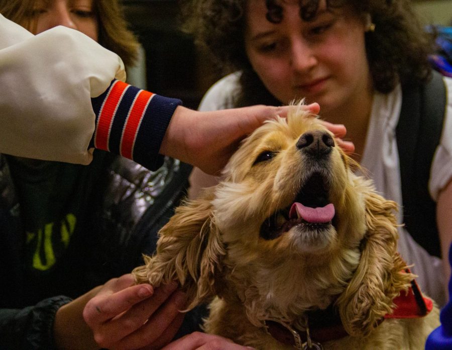 Therapy dogs bring a paw-some expeiernce to OPRF