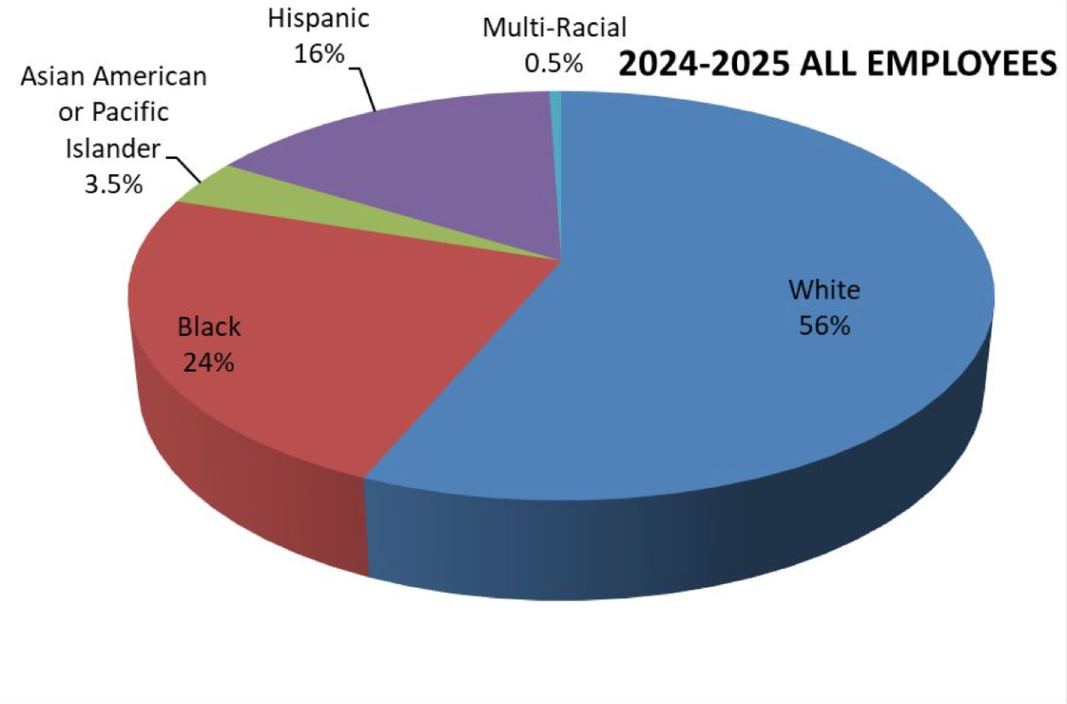 Progress towards staff diversity “slow and steady”