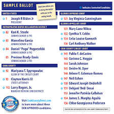 2024 Cook County Ballot