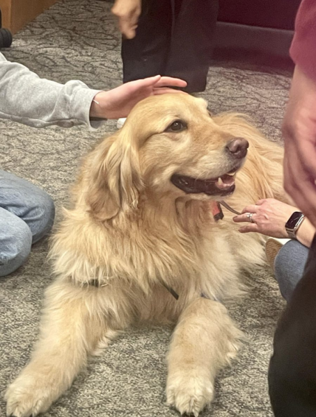 Students pet a therapy dog at a Destress with Dogs event last year.