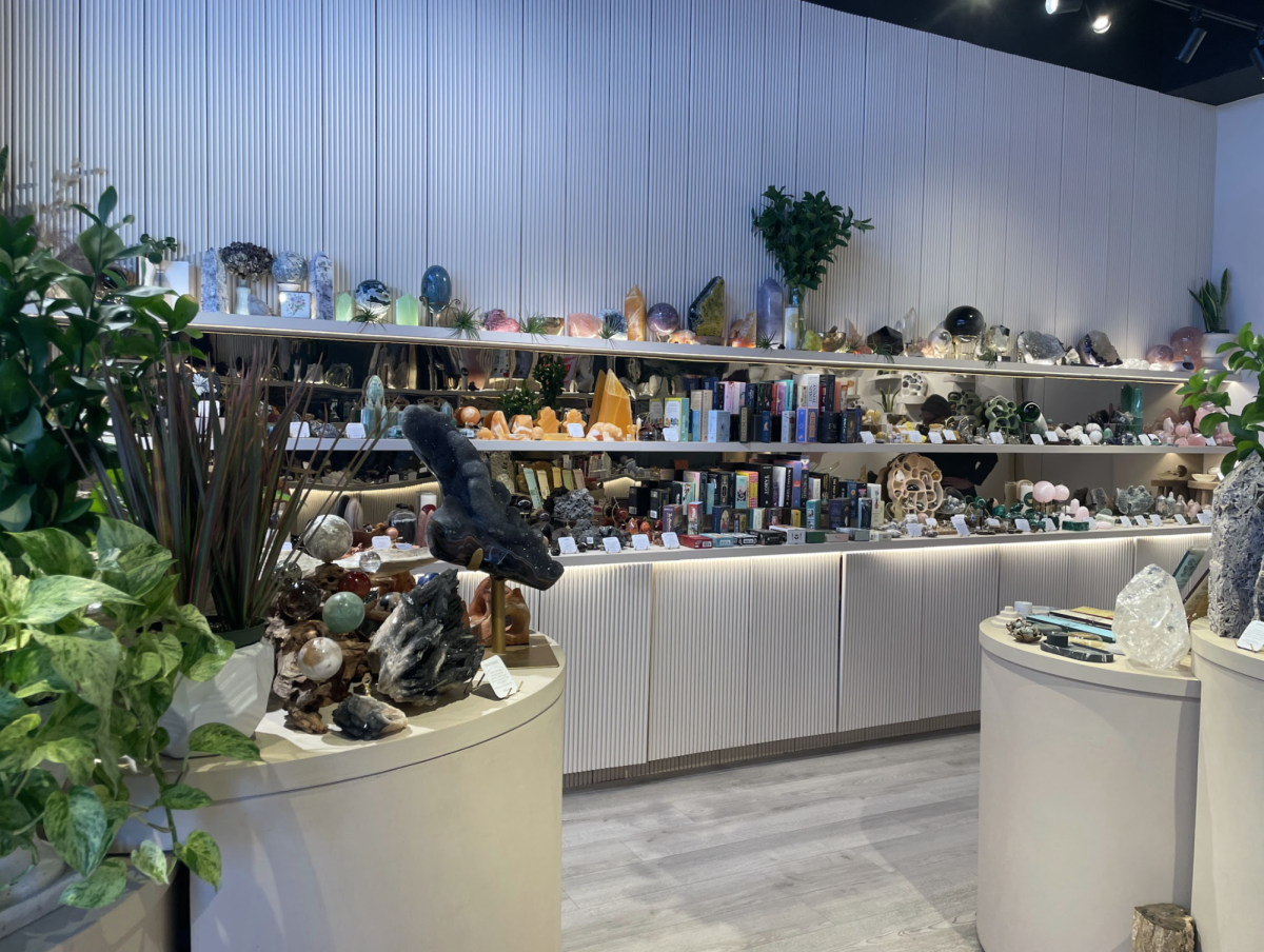 Crystals lined up on Village & Vessel shelves
