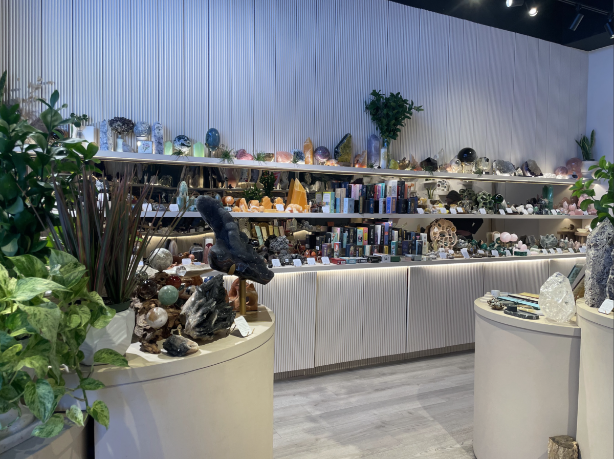 Crystals lined up on Village & Vessel shelves
