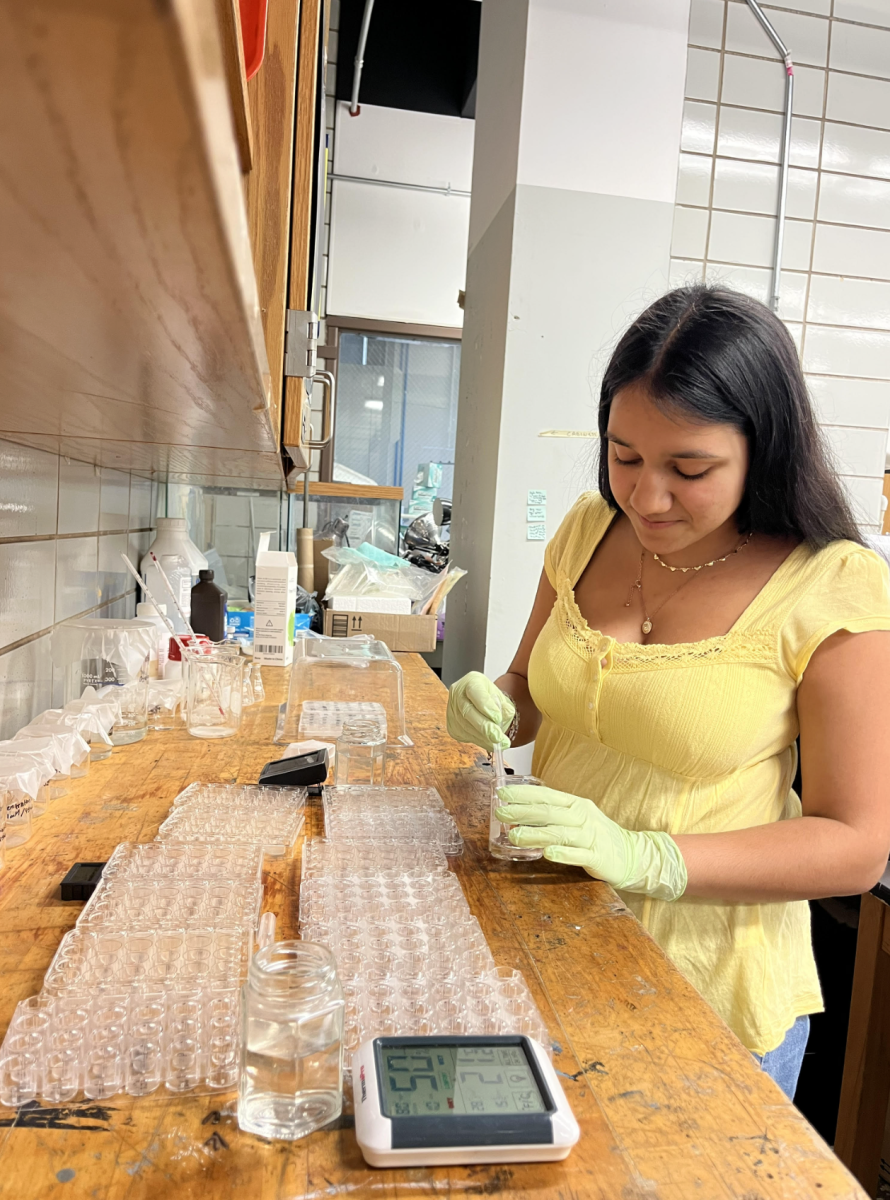 Gadhvi fills a beaker with a pipette in the AP Research laboratory.